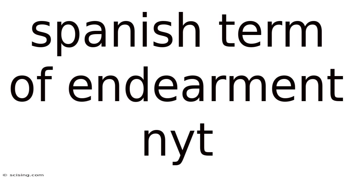 Spanish Term Of Endearment Nyt