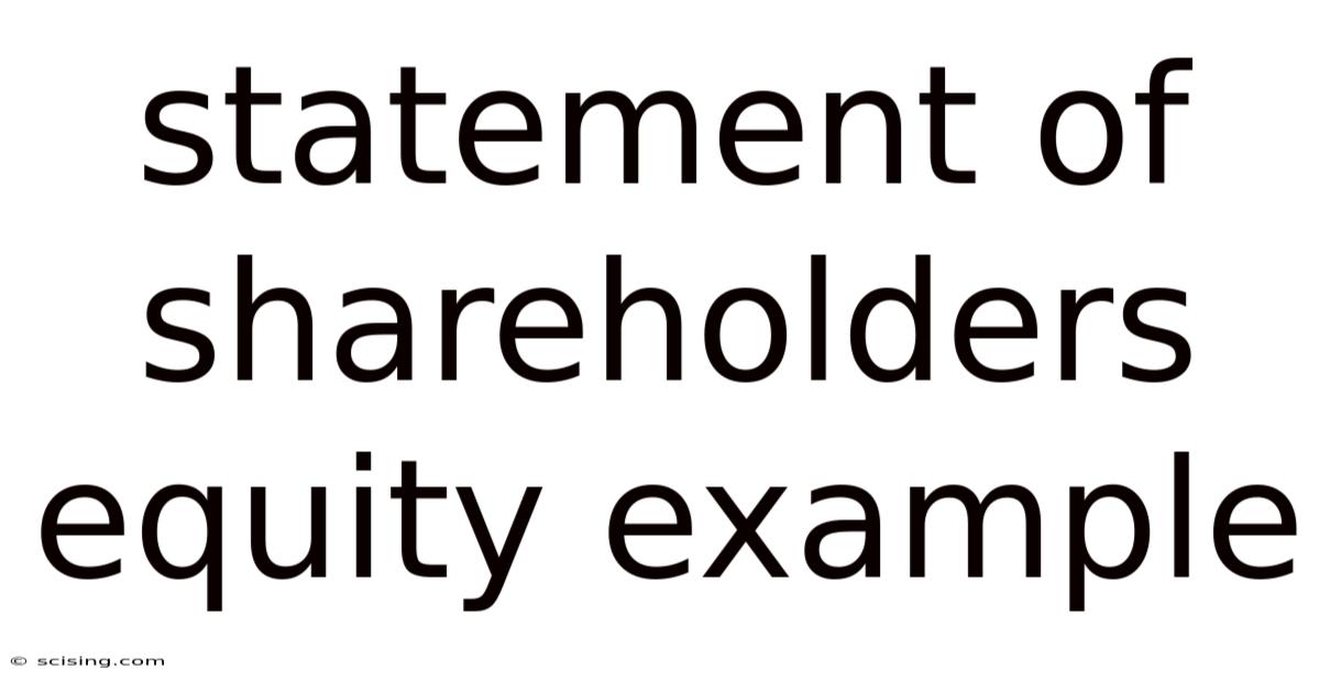 Statement Of Shareholders Equity Example