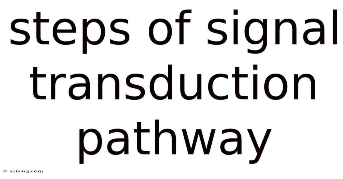 Steps Of Signal Transduction Pathway