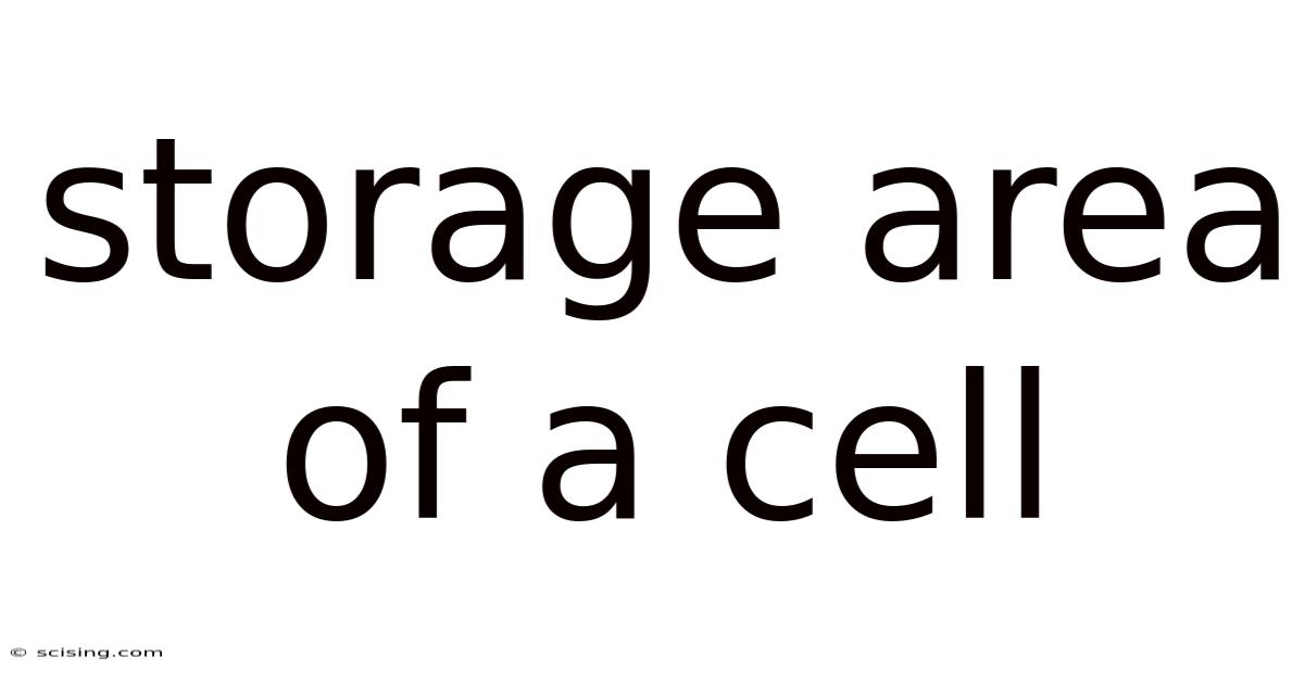 Storage Area Of A Cell