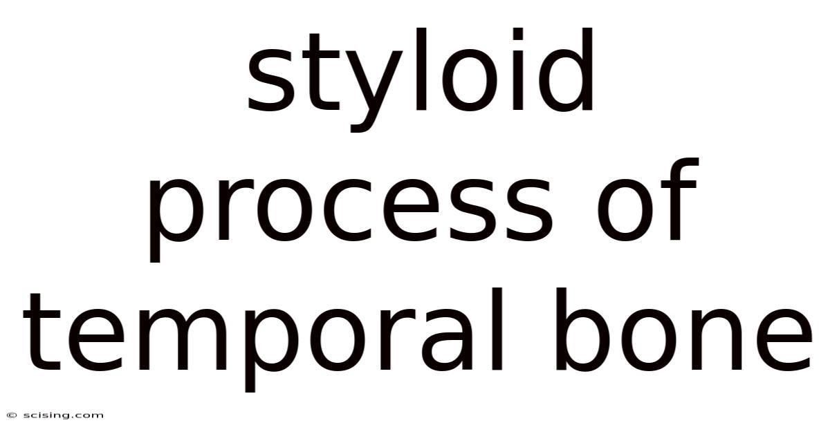 Styloid Process Of Temporal Bone