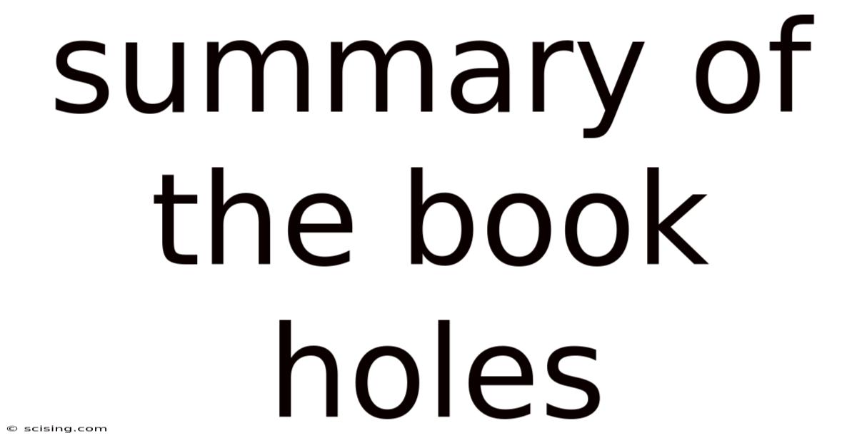 Summary Of The Book Holes