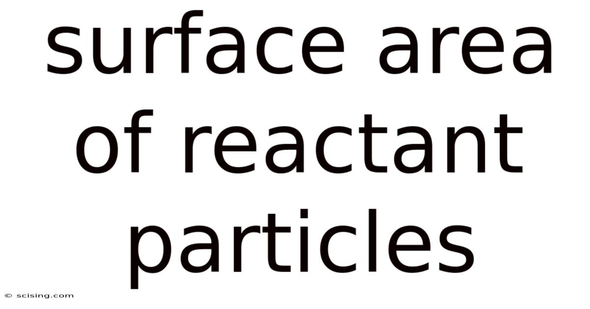 Surface Area Of Reactant Particles