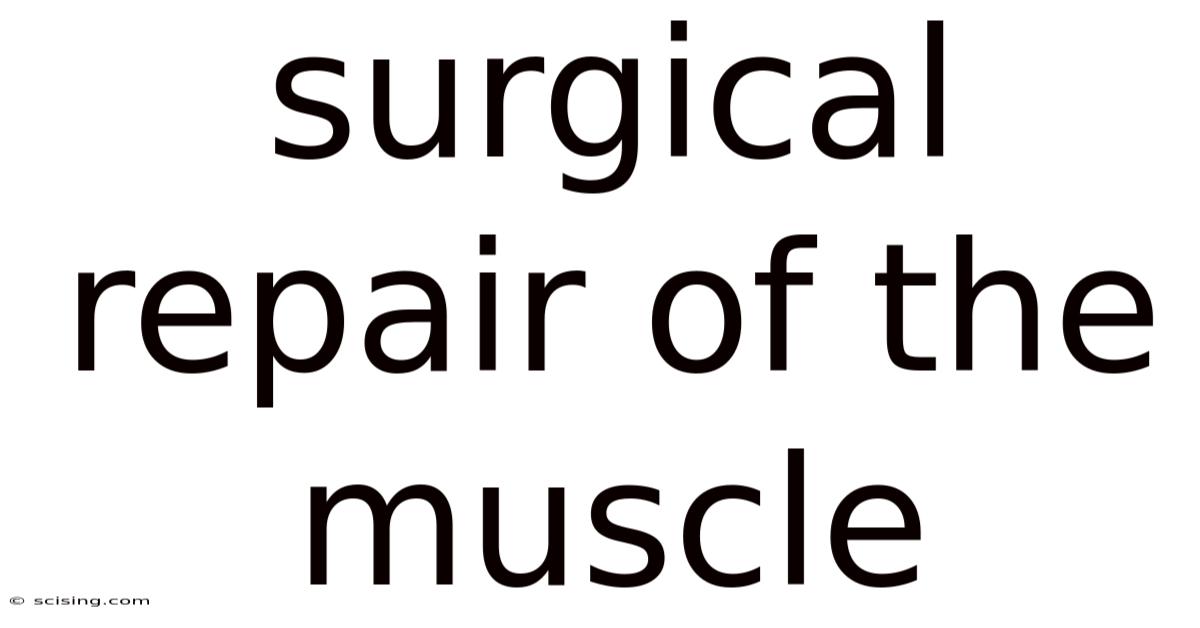Surgical Repair Of The Muscle