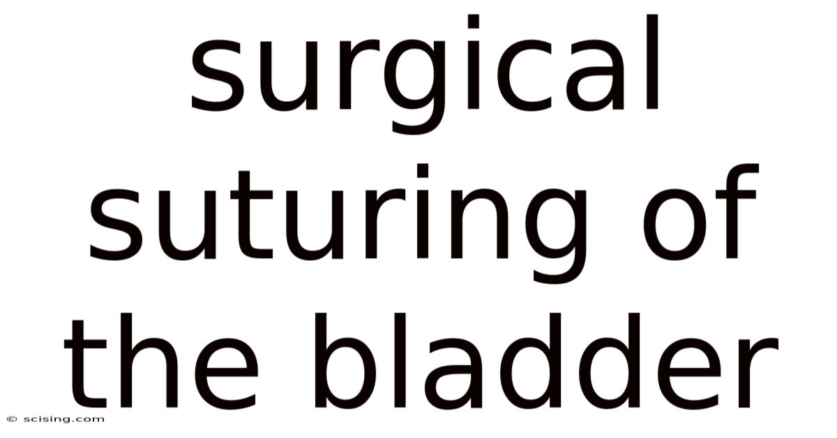 Surgical Suturing Of The Bladder