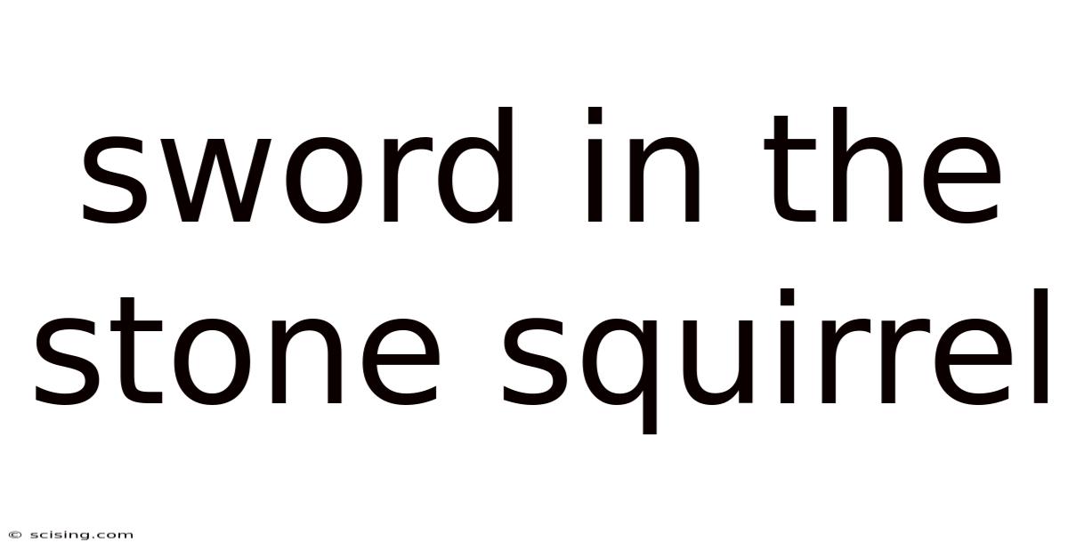 Sword In The Stone Squirrel
