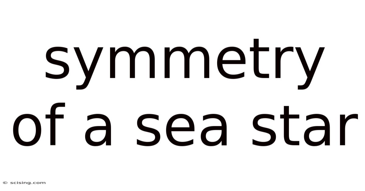 Symmetry Of A Sea Star