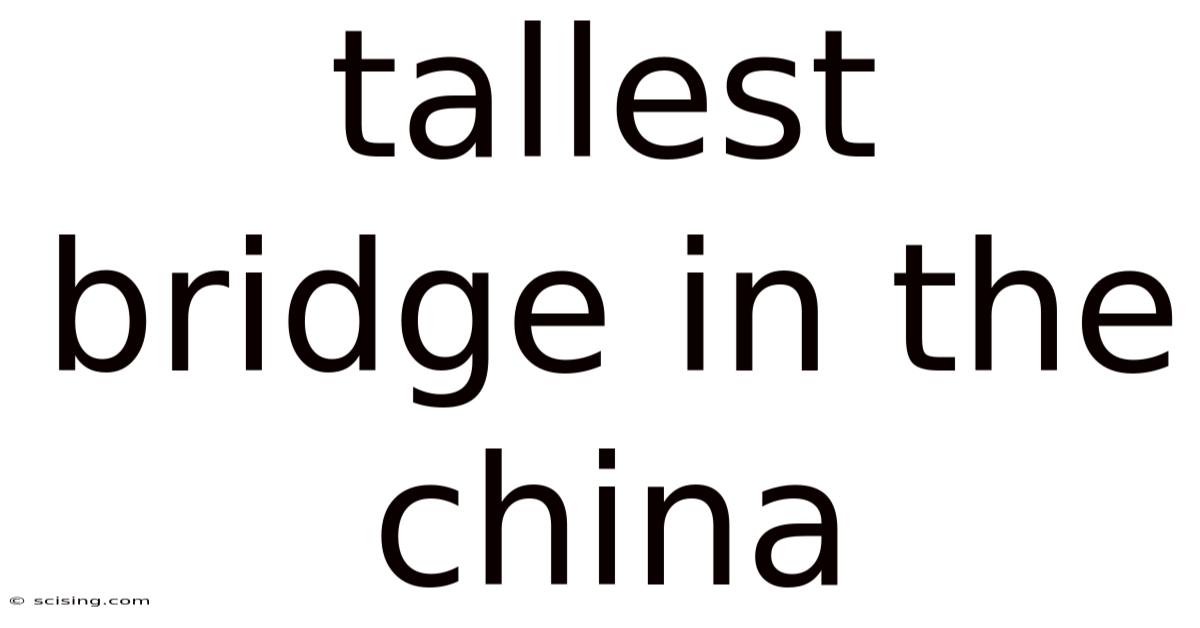 Tallest Bridge In The China