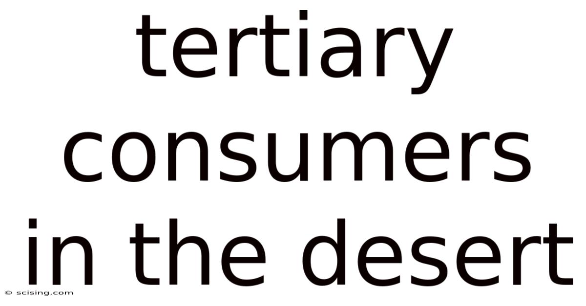 Tertiary Consumers In The Desert