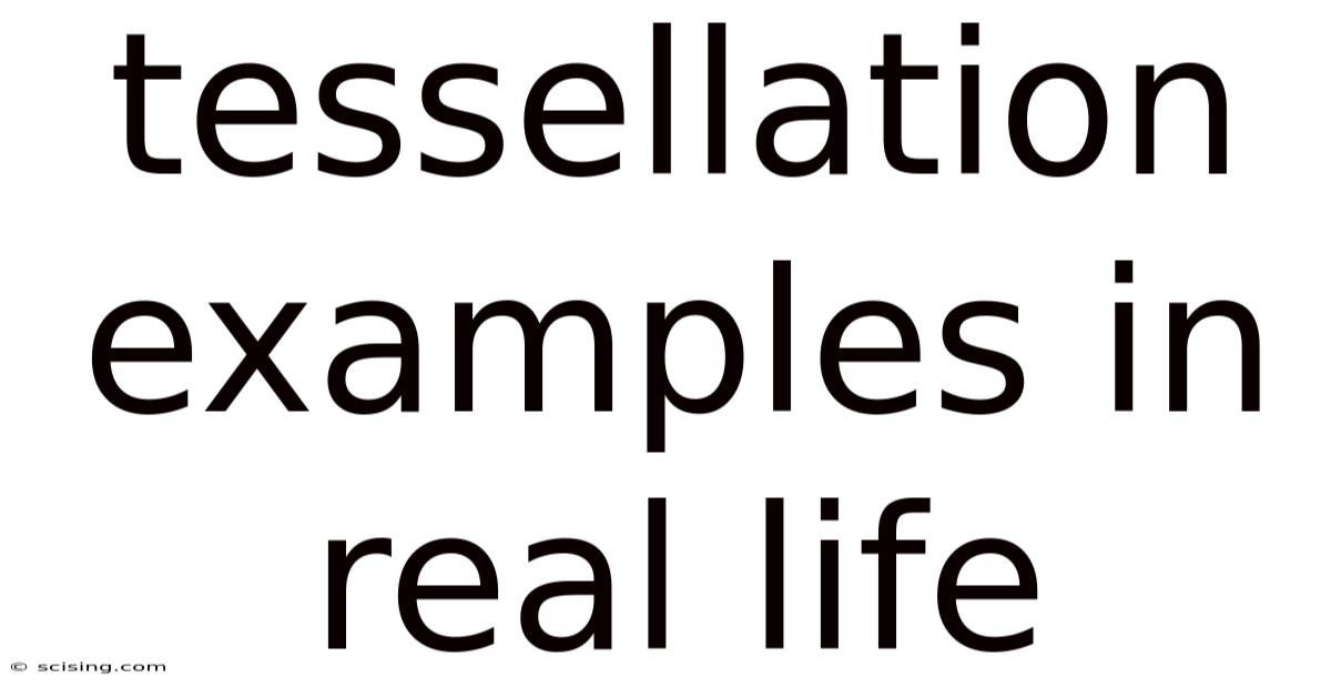 Tessellation Examples In Real Life