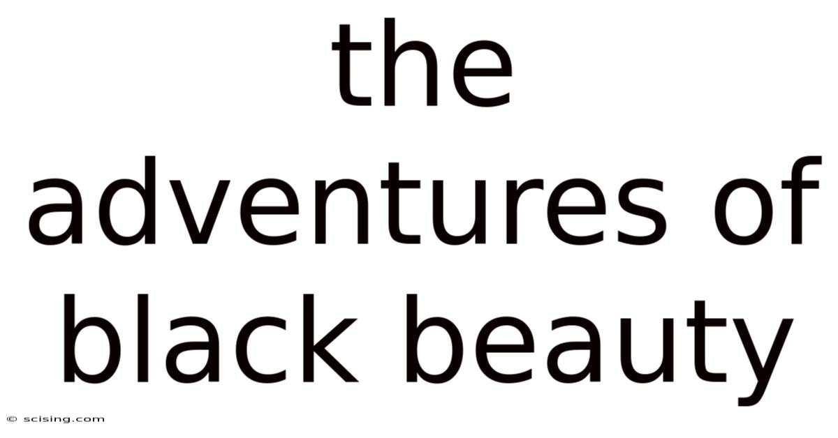The Adventures Of Black Beauty