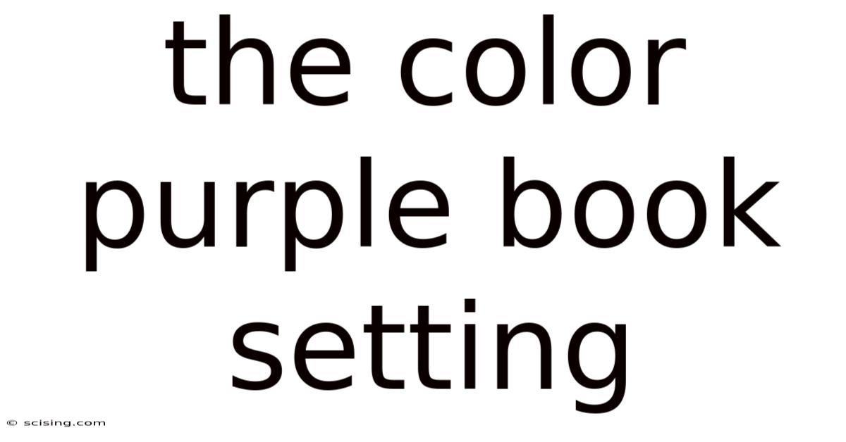 The Color Purple Book Setting