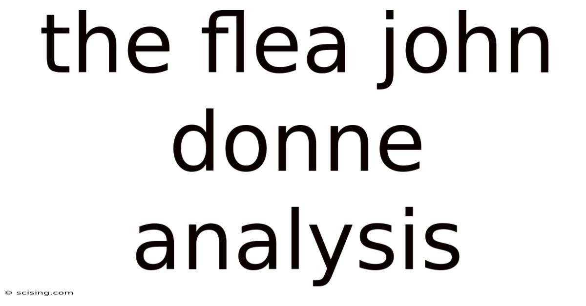 The Flea John Donne Analysis
