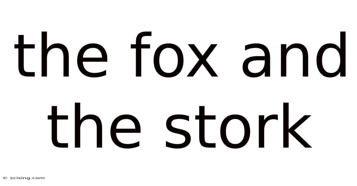 The Fox And The Stork