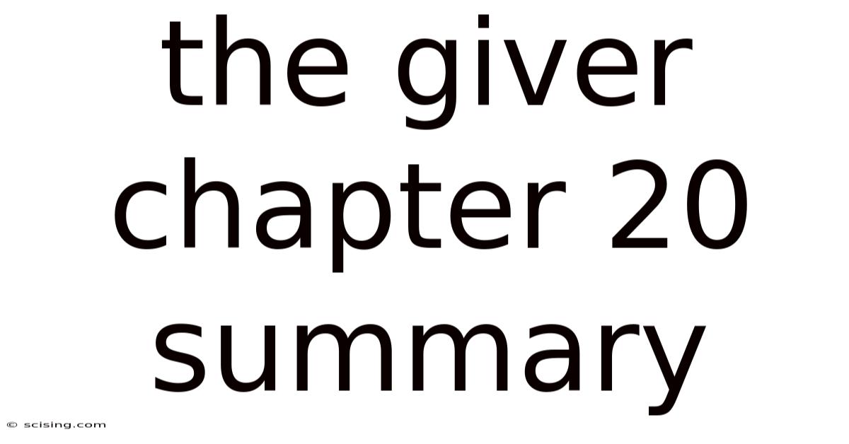 The Giver Chapter 20 Summary