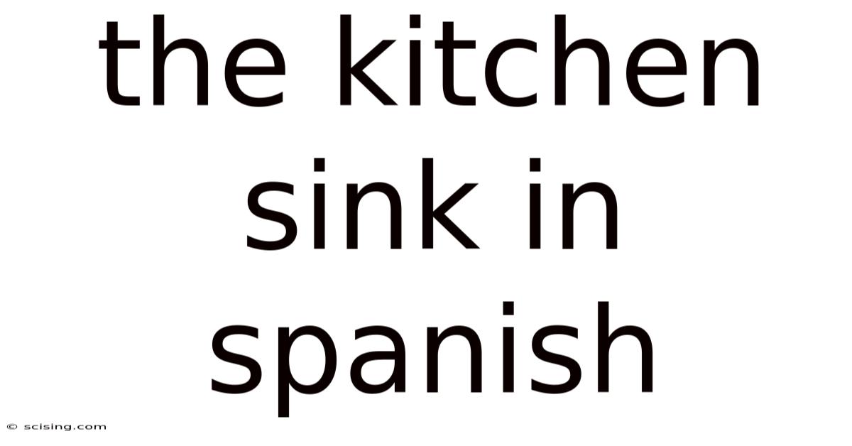 The Kitchen Sink In Spanish