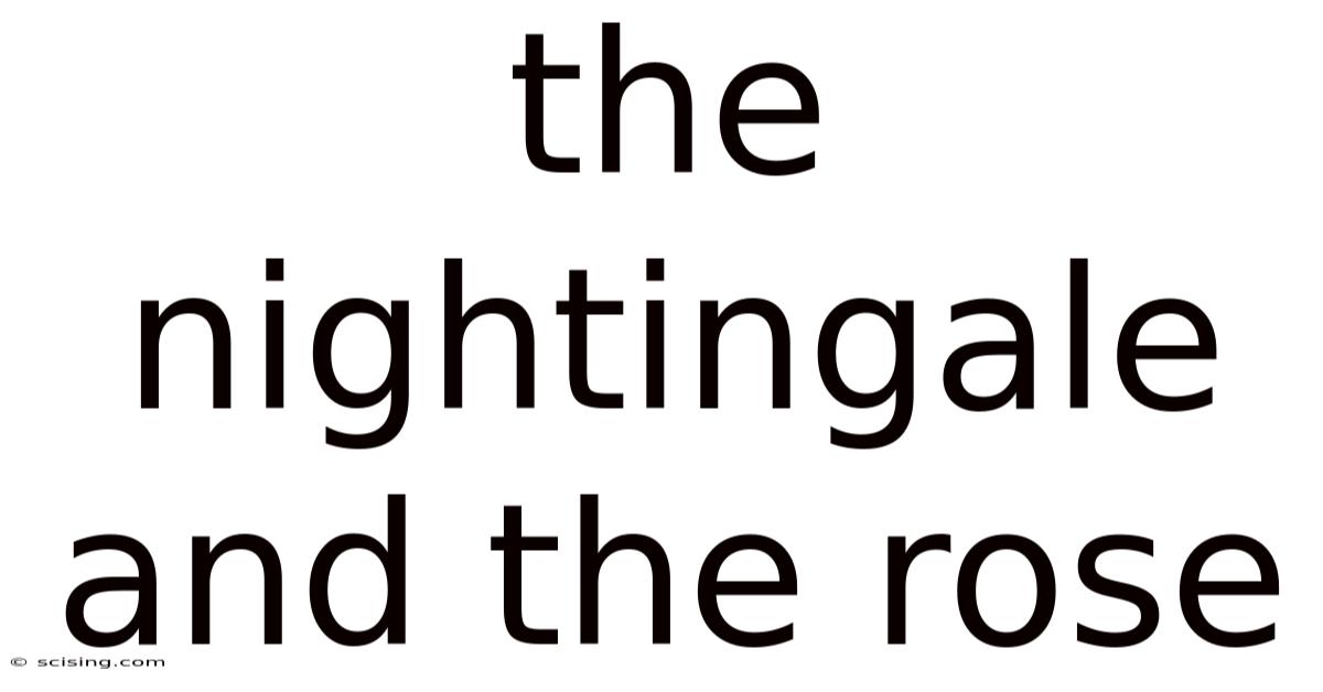 The Nightingale And The Rose