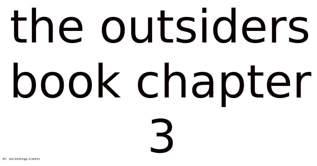 The Outsiders Book Chapter 3
