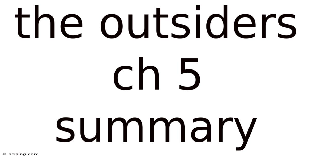 The Outsiders Ch 5 Summary