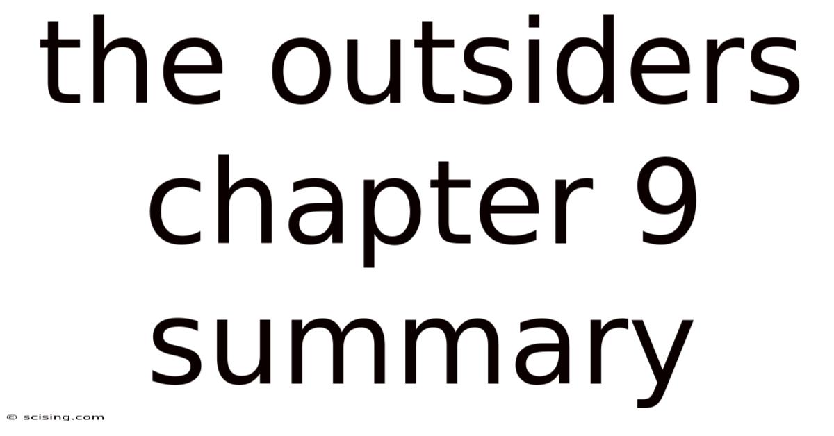 The Outsiders Chapter 9 Summary