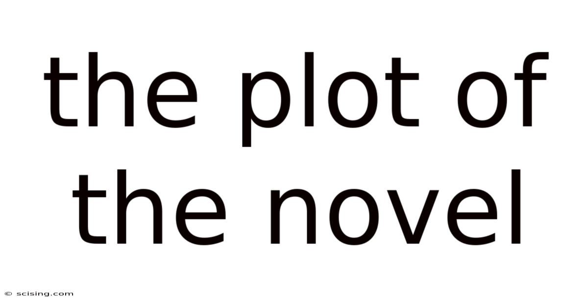 The Plot Of The Novel