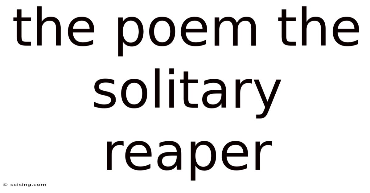 The Poem The Solitary Reaper