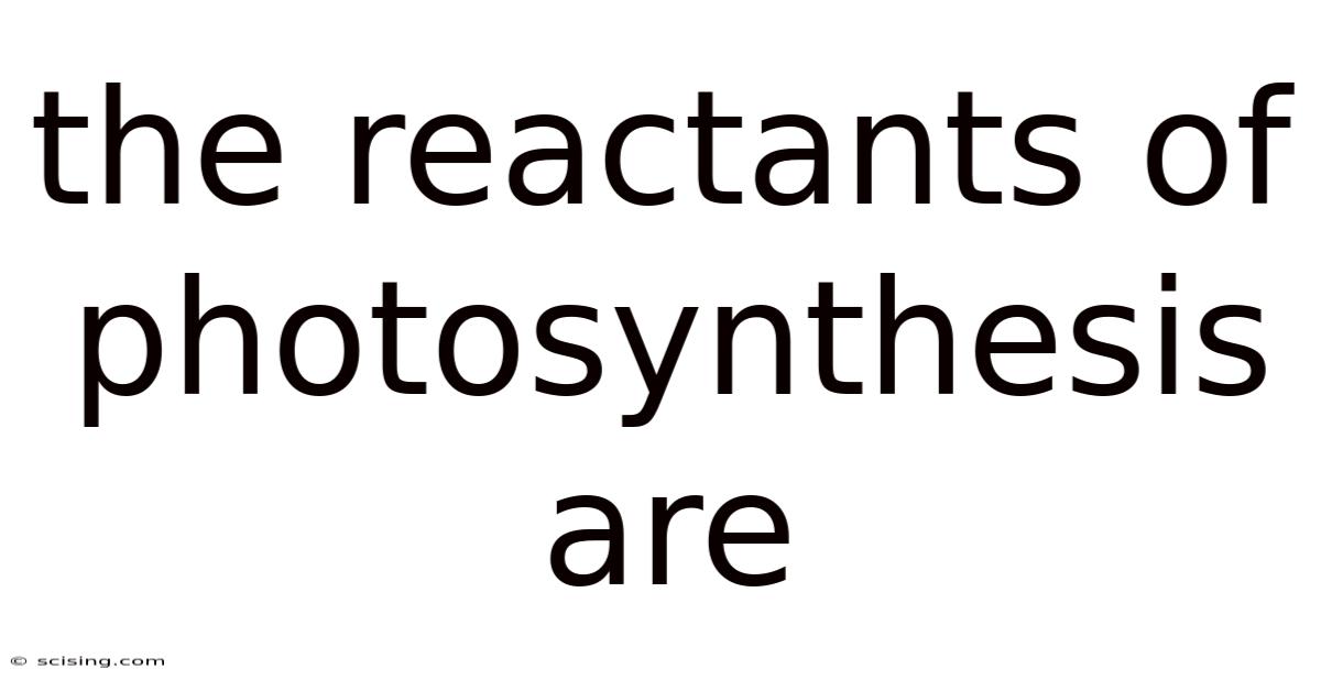 The Reactants Of Photosynthesis Are