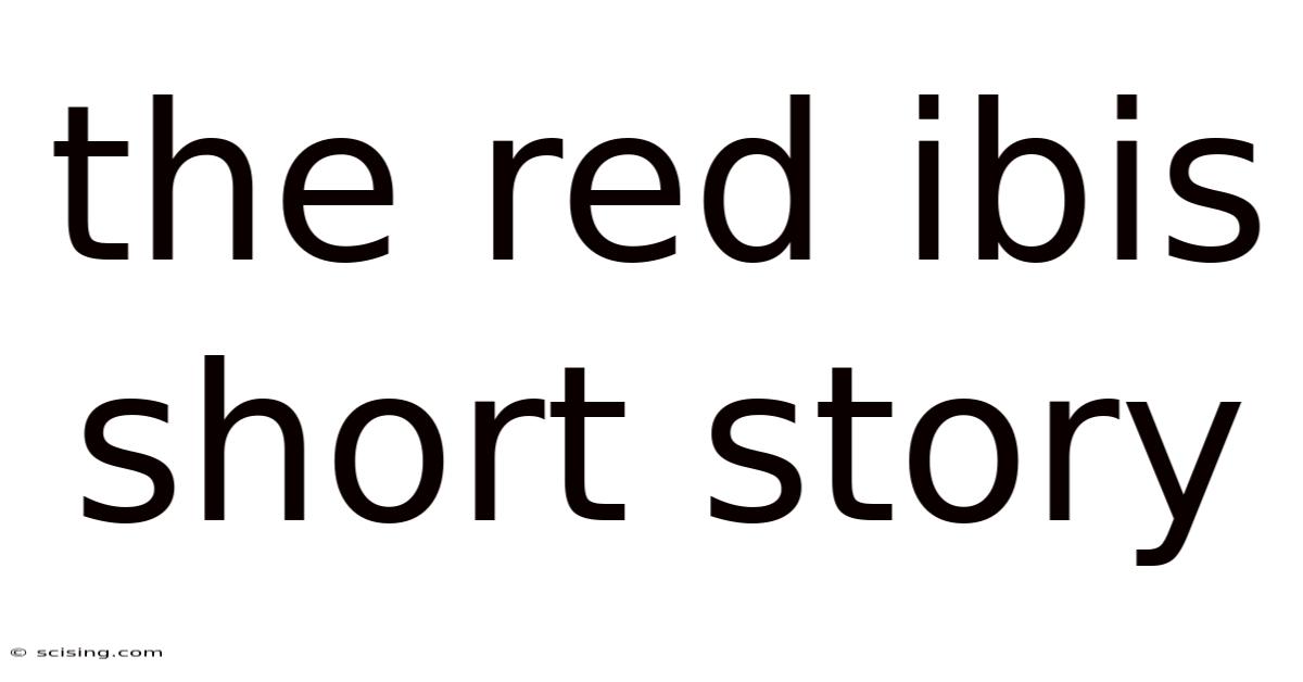 The Red Ibis Short Story