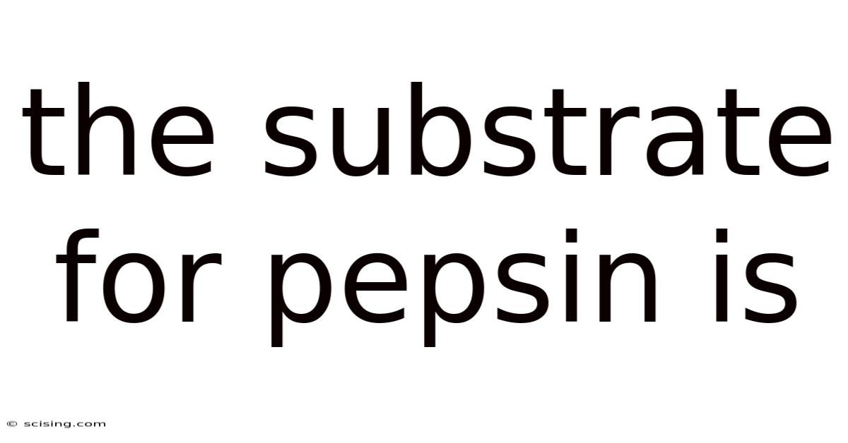The Substrate For Pepsin Is