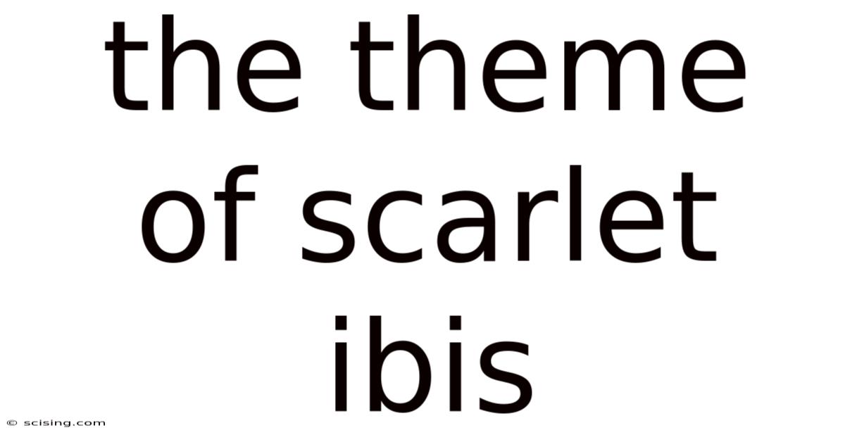 The Theme Of Scarlet Ibis