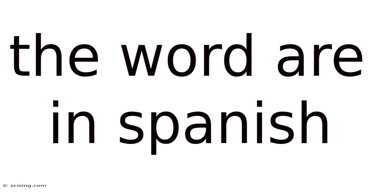 The Word Are In Spanish