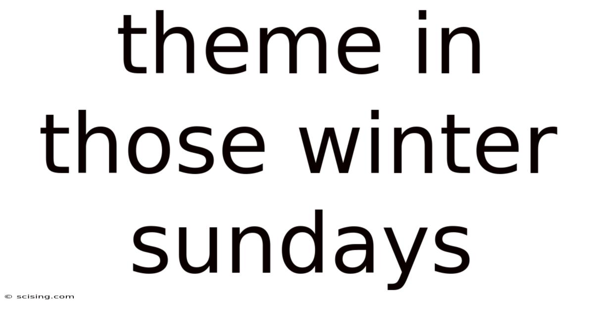 Theme In Those Winter Sundays