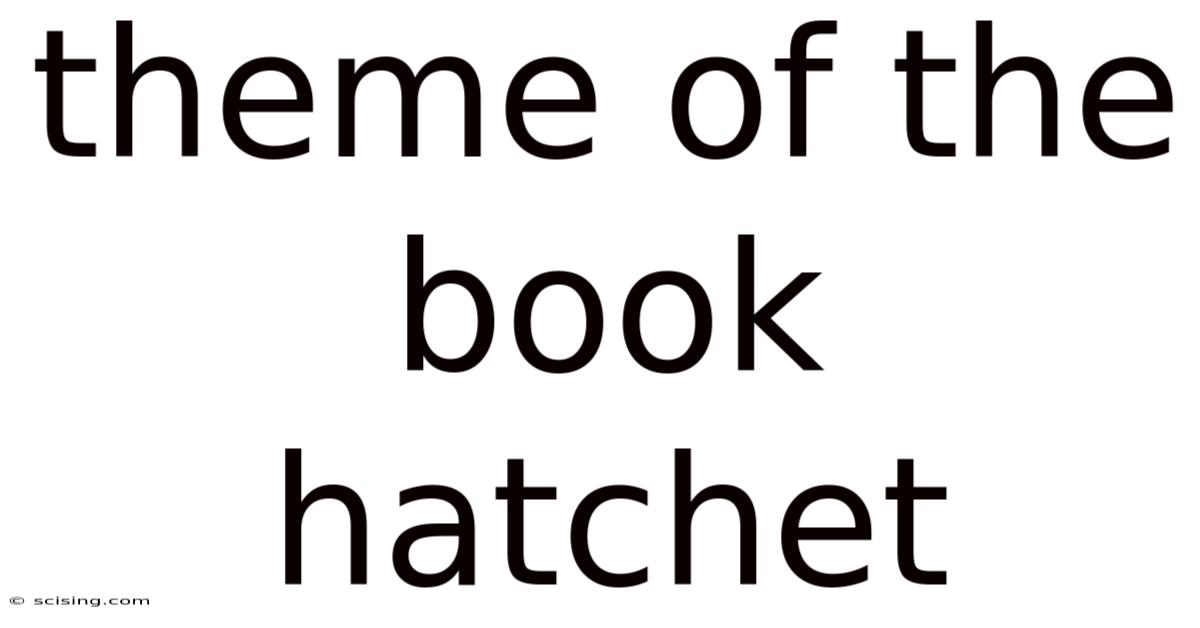 Theme Of The Book Hatchet
