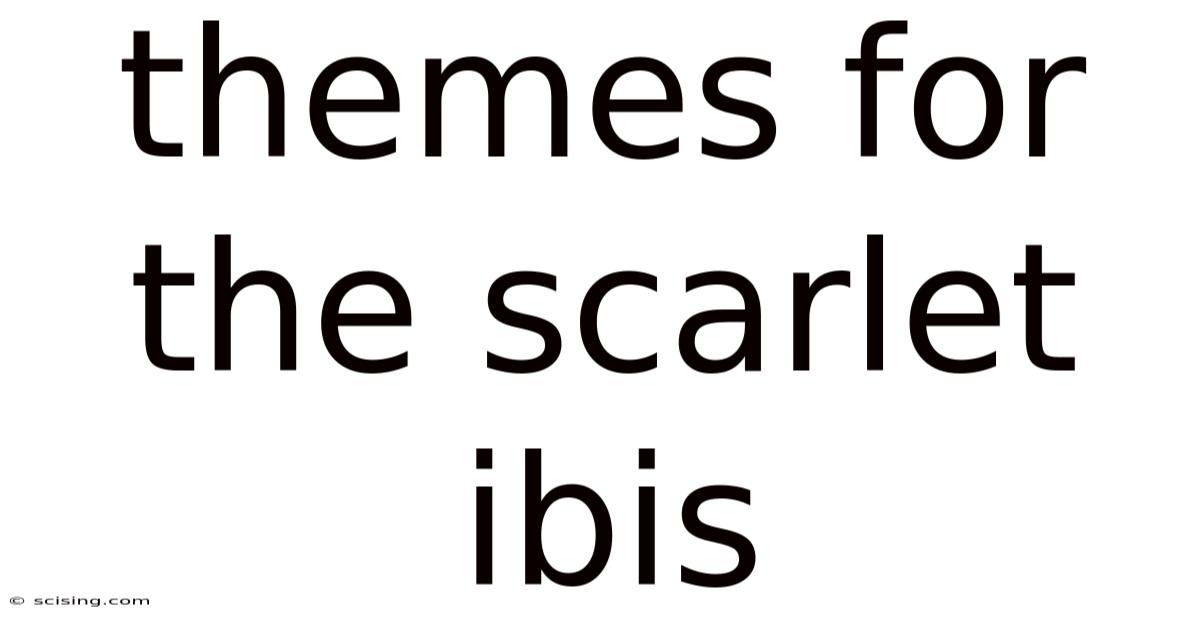 Themes For The Scarlet Ibis