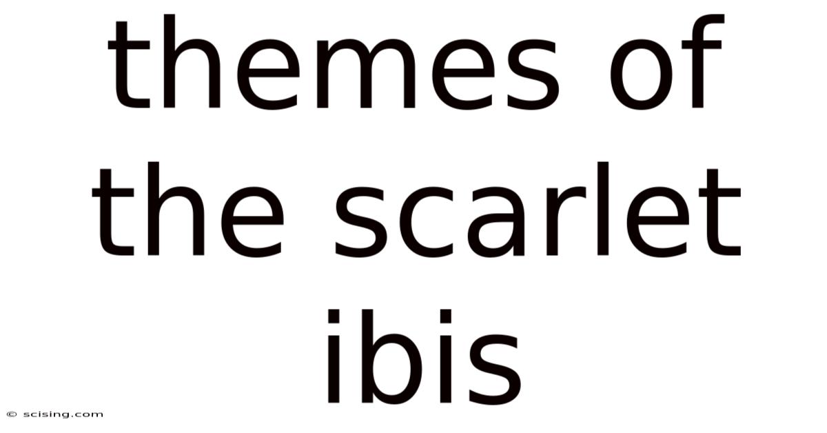 Themes Of The Scarlet Ibis