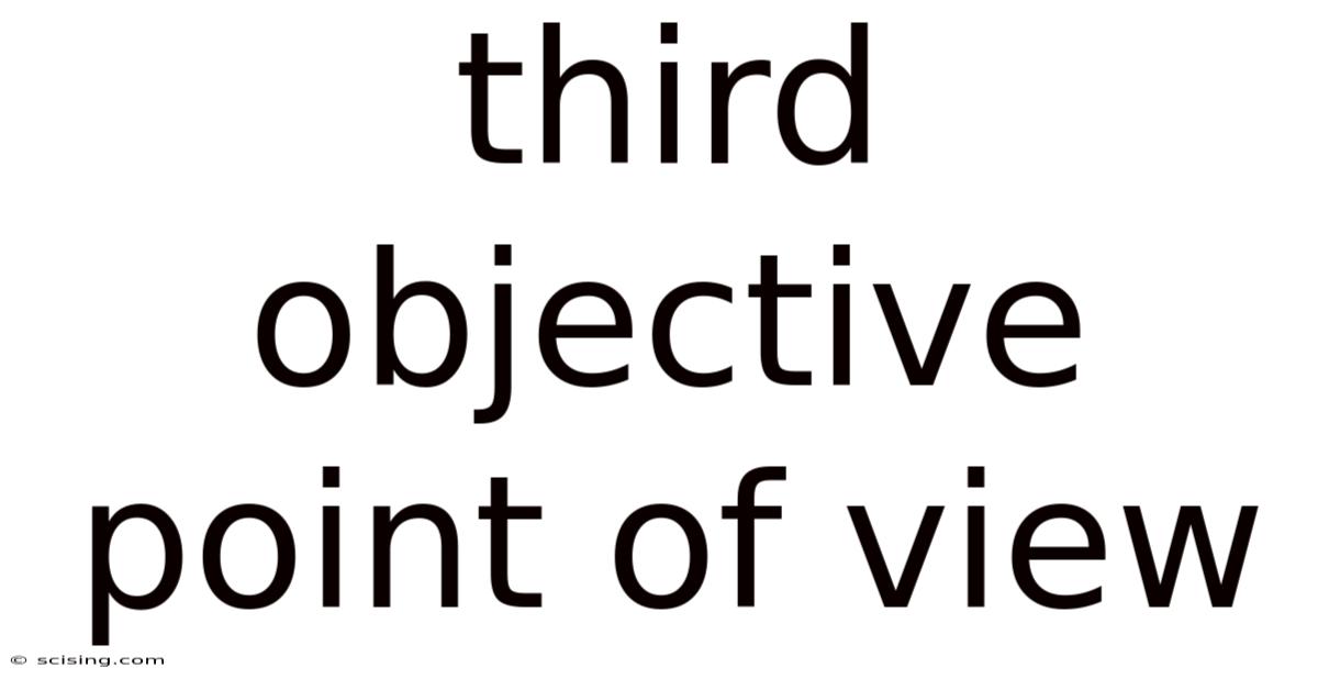 Third Objective Point Of View