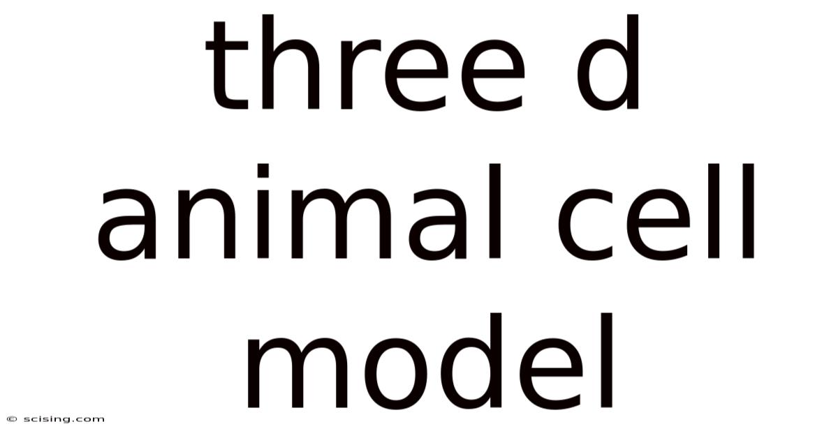 Three D Animal Cell Model