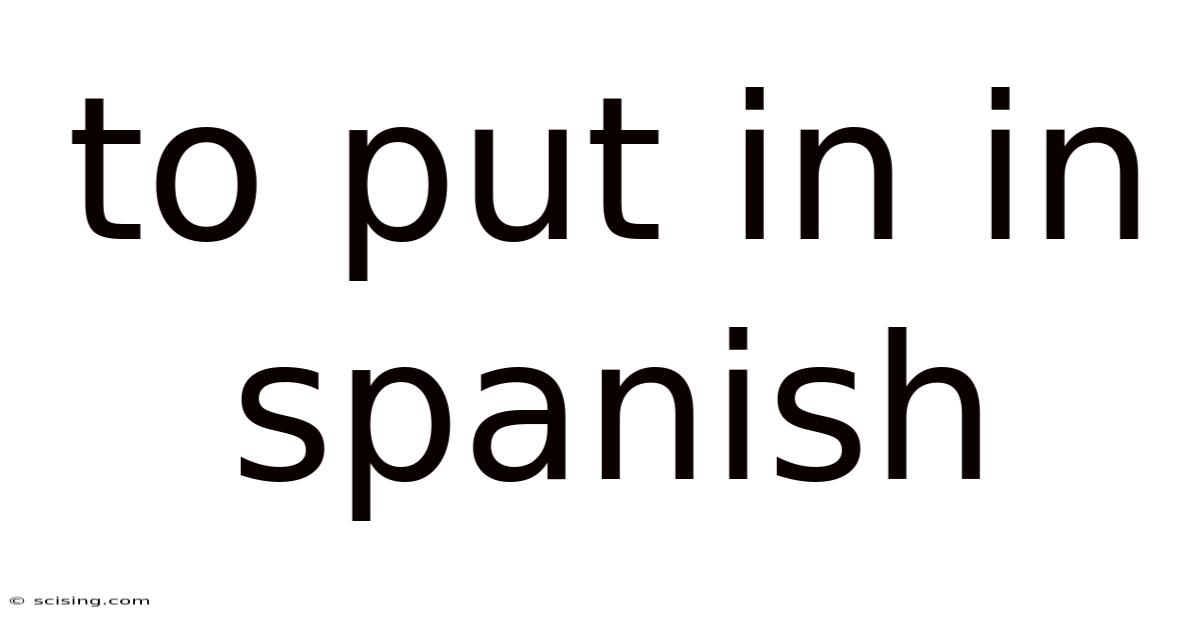 To Put In In Spanish