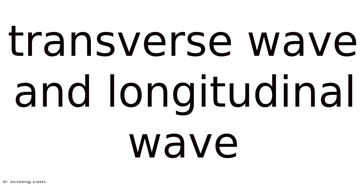 Transverse Wave And Longitudinal Wave