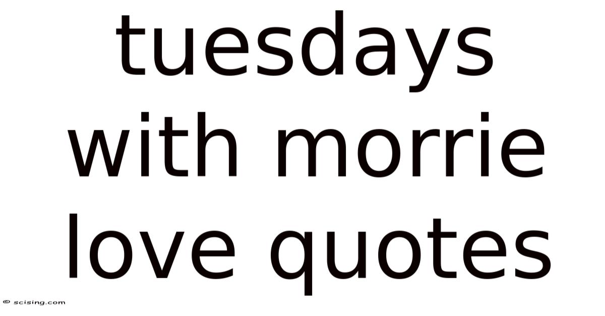 Tuesdays With Morrie Love Quotes