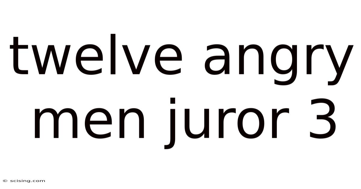 Twelve Angry Men Juror 3