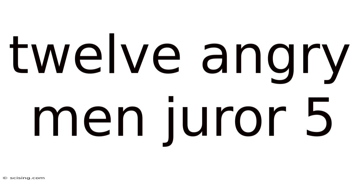 Twelve Angry Men Juror 5