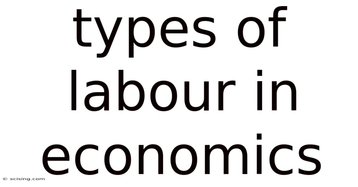 Types Of Labour In Economics