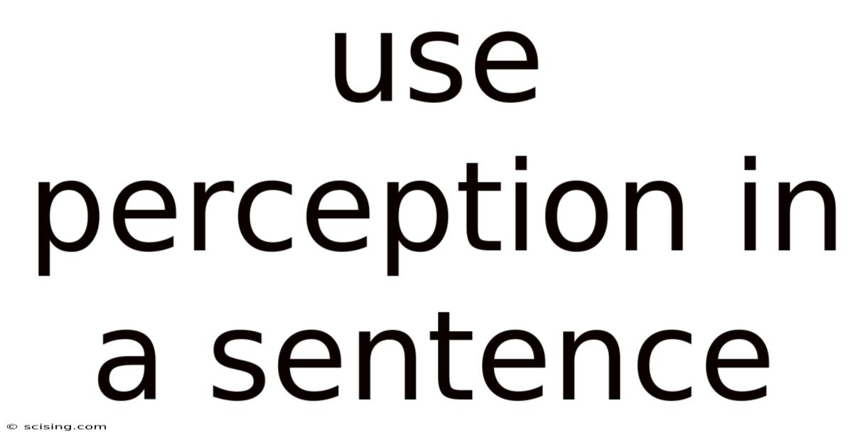 Use Perception In A Sentence