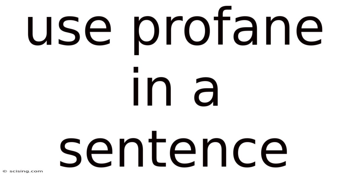 Use Profane In A Sentence