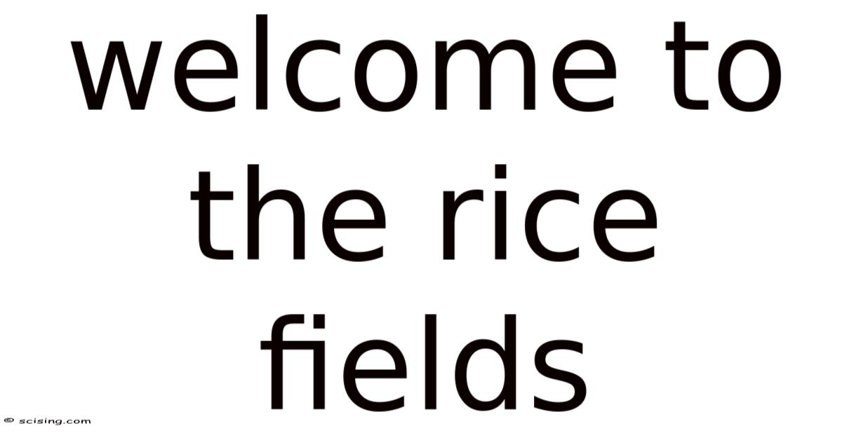 Welcome Rice Welcome To The Rice Fields