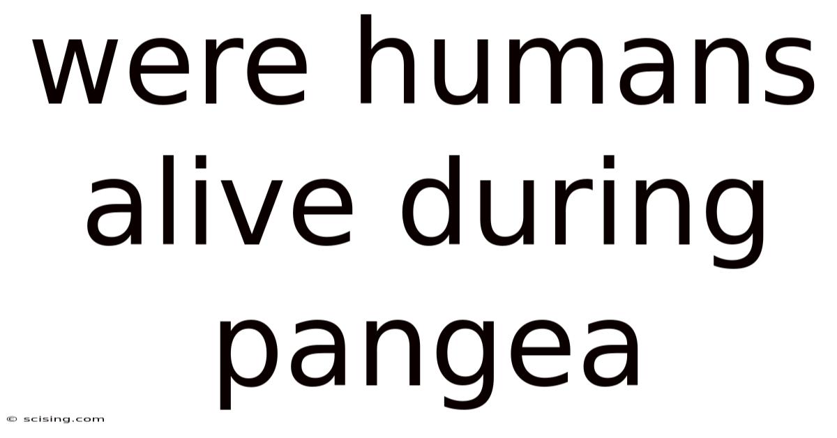 Were Humans Alive During Pangea