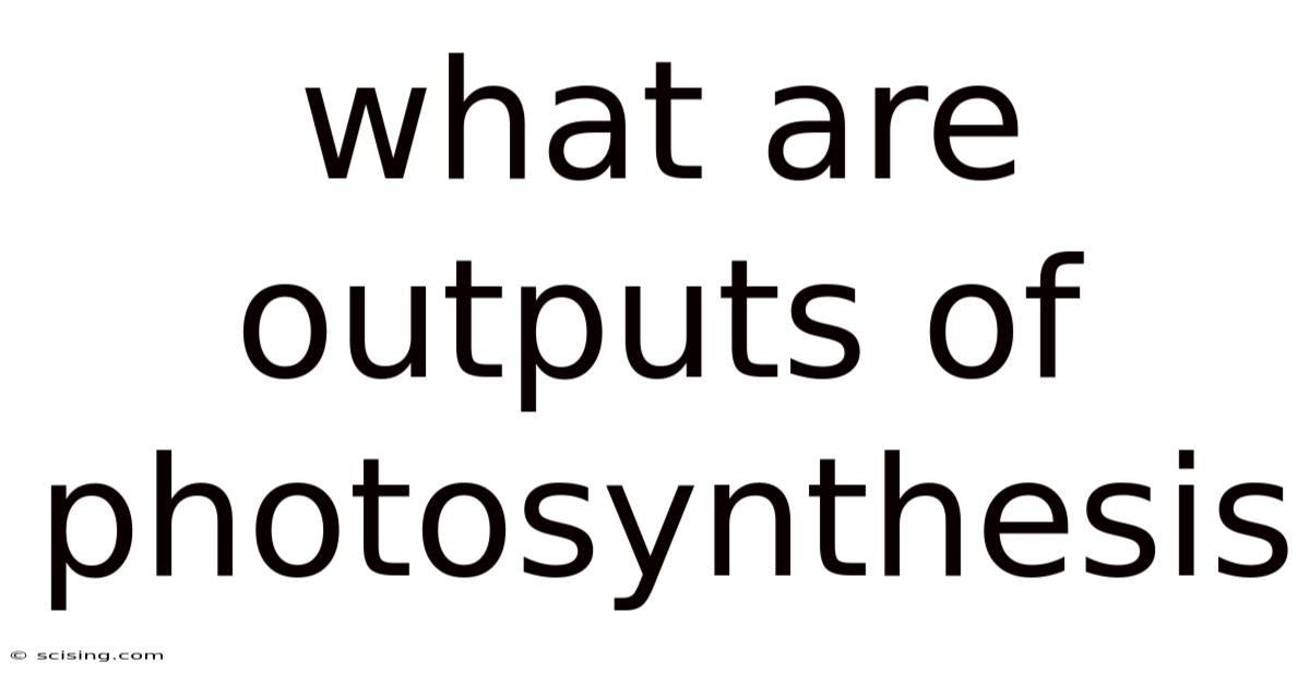 What Are Outputs Of Photosynthesis