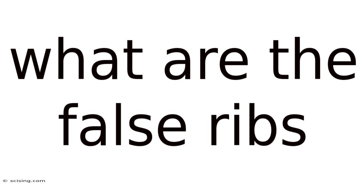 What Are The False Ribs