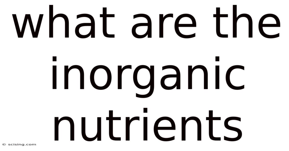 What Are The Inorganic Nutrients